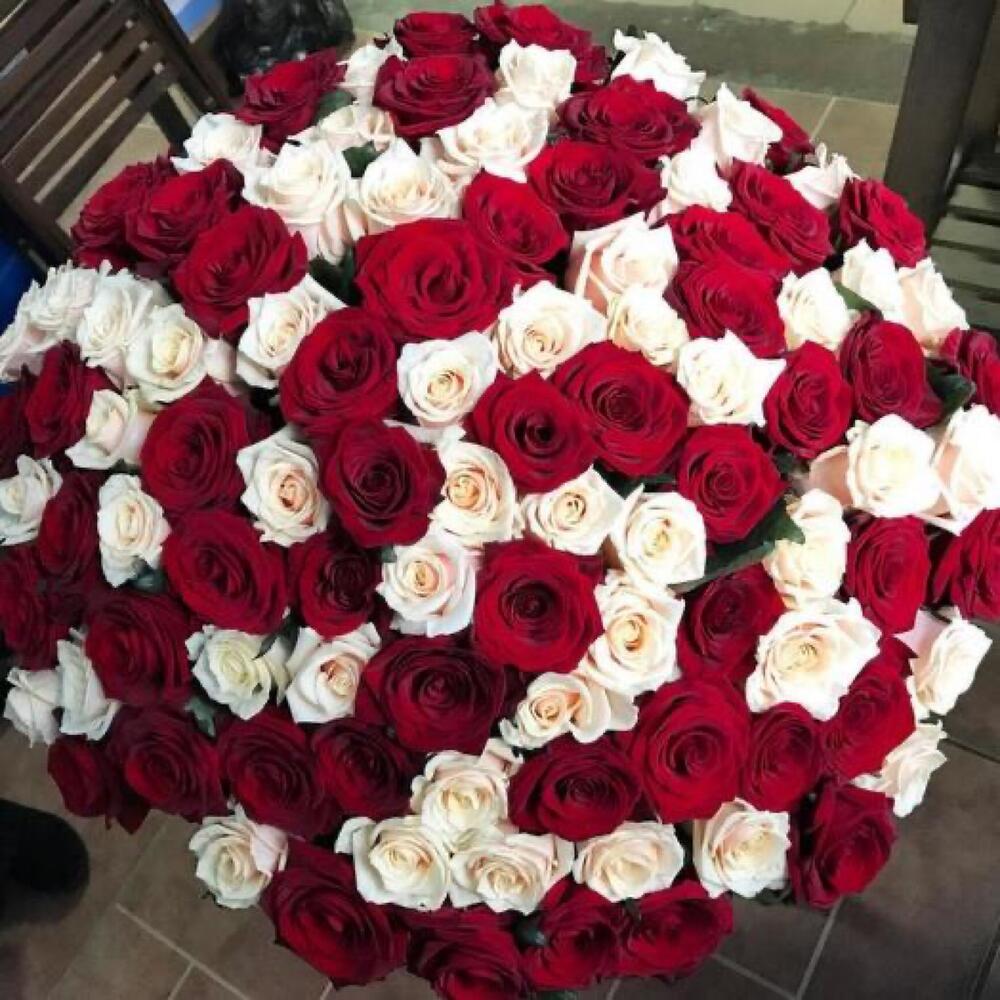 101 Роза 🌹