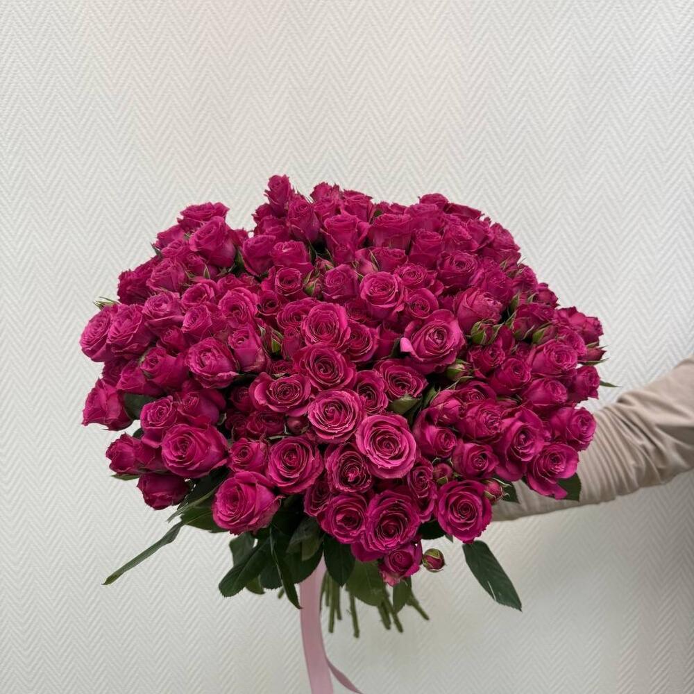Purple Irishka