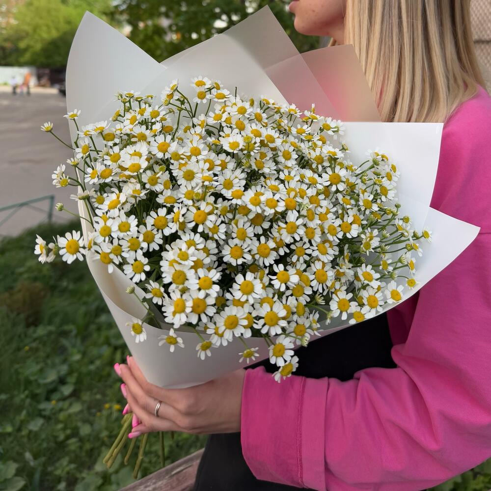 Букет из кустовых ромашек в упаковке