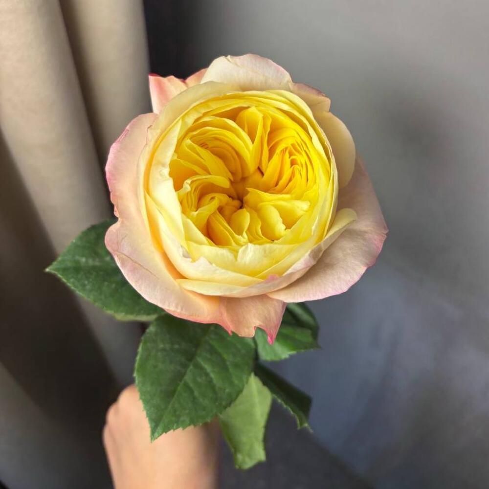review-photo