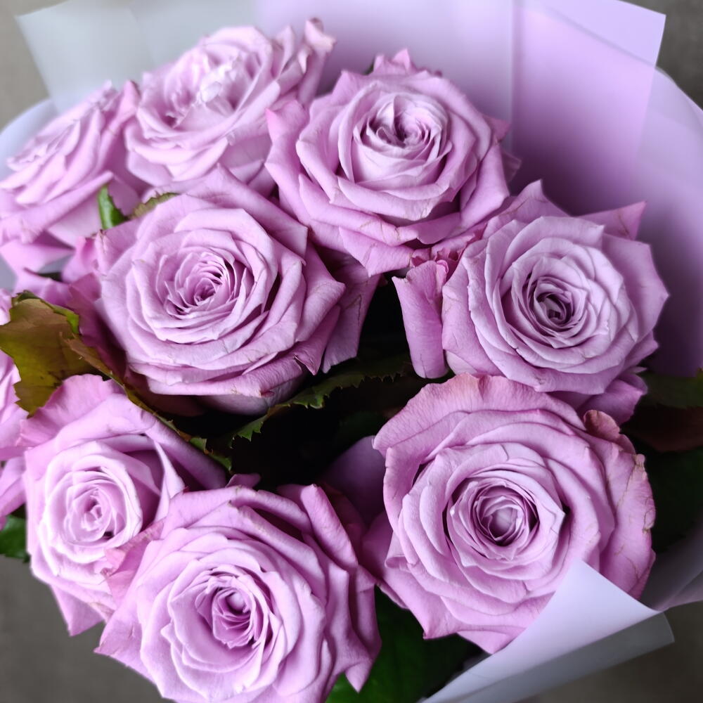 💜розы сиреневые