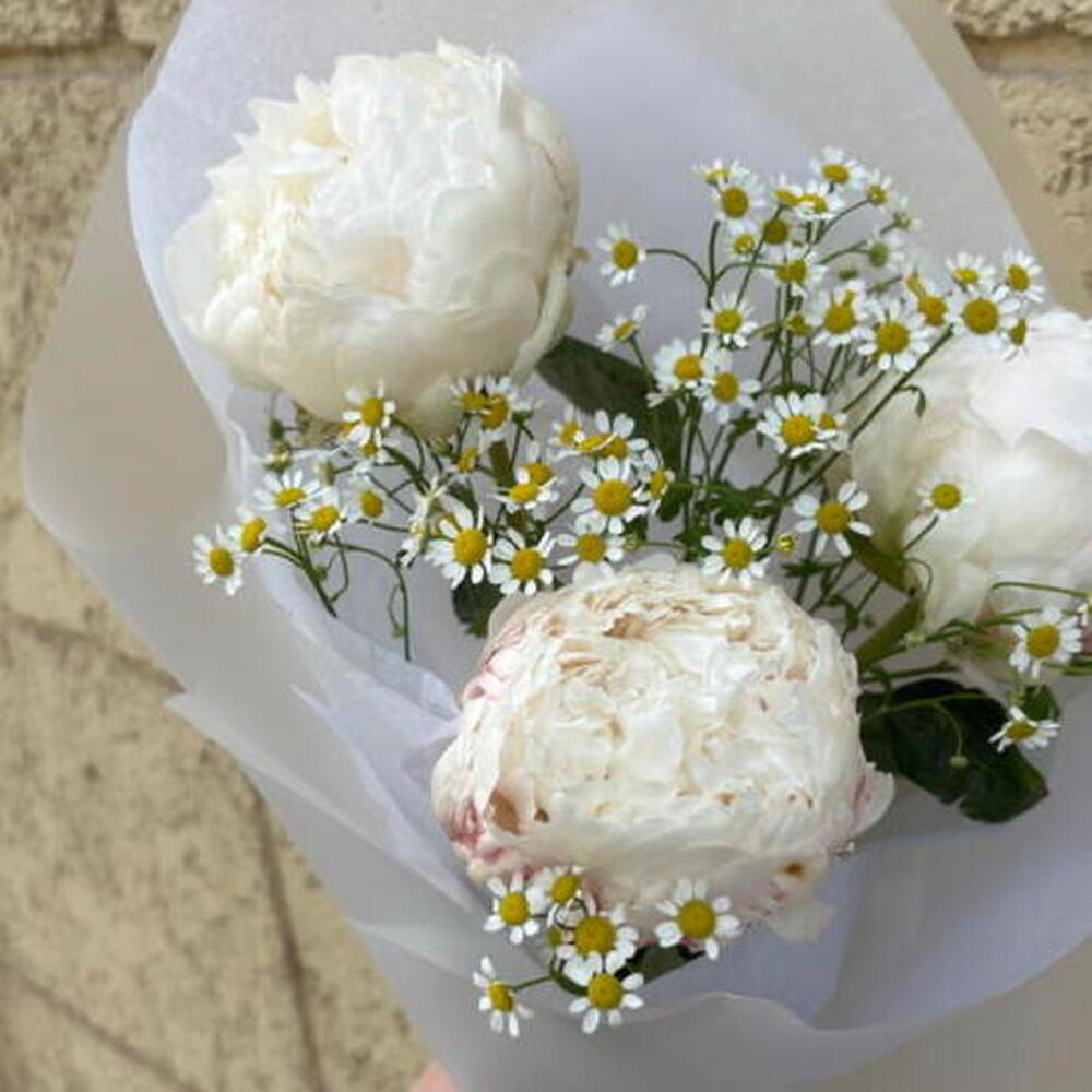Букет из 3 пионов белых🌸