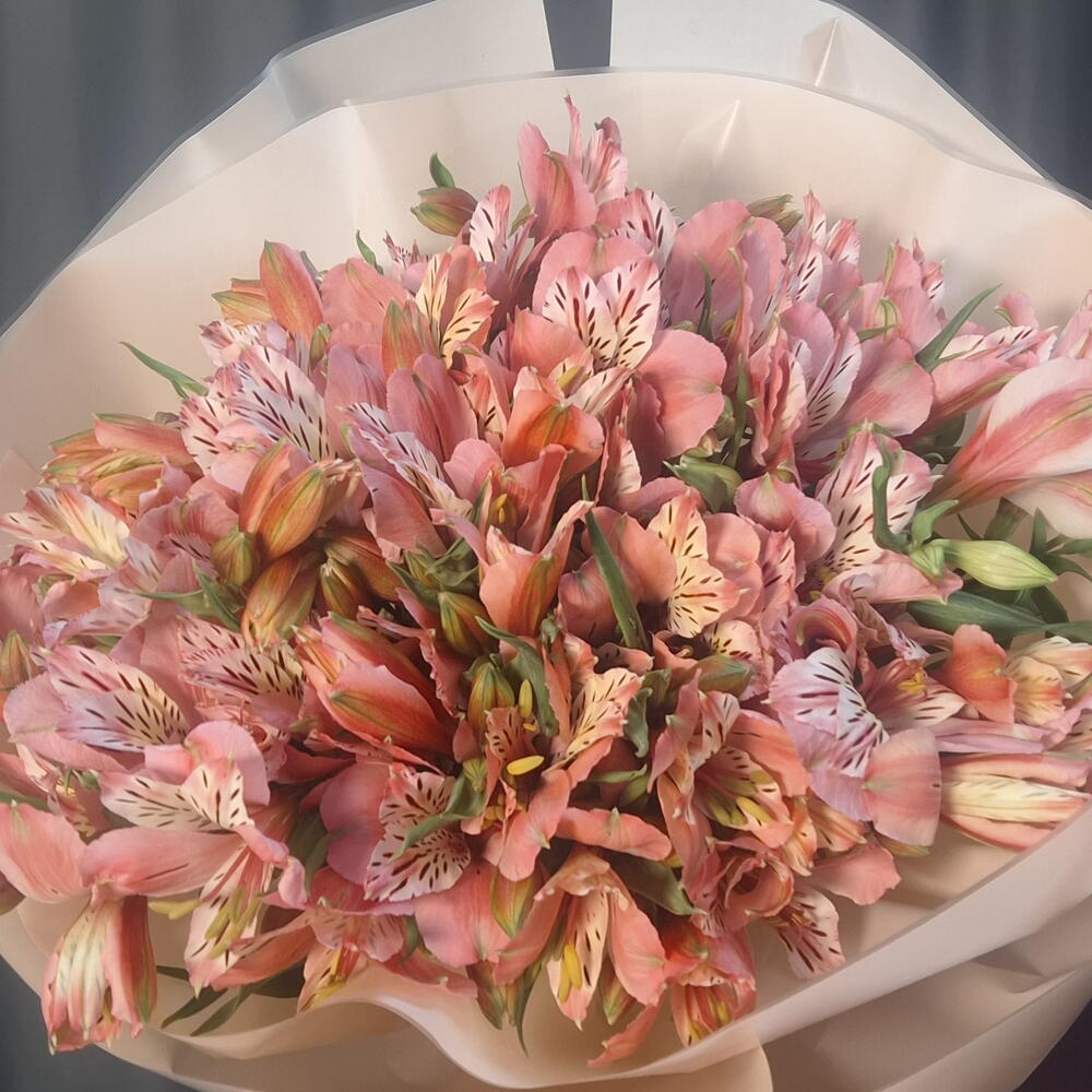 Сезонная альстромерия
