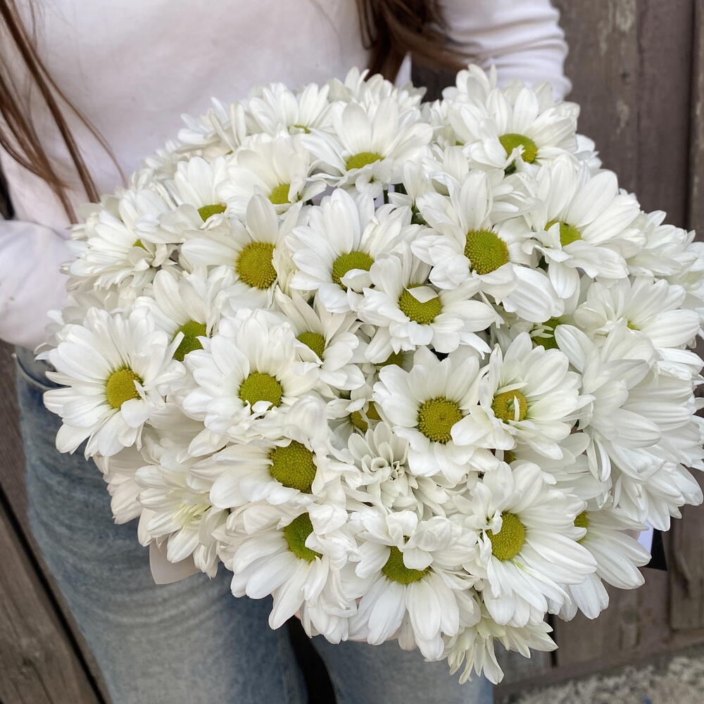 Композиция из ромашек