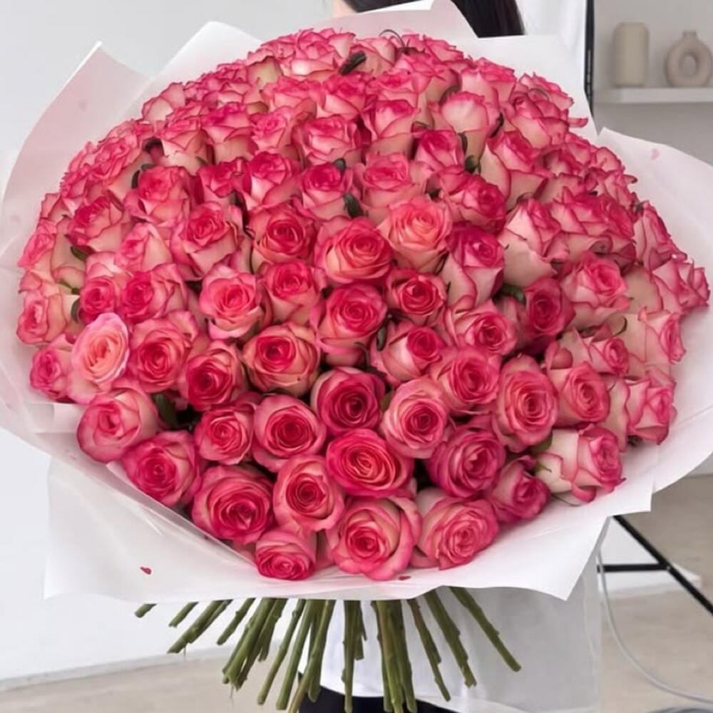 101 РОЗА ПО СУПЕР ЦЕНЕ, роза Джумилия💗💗💗