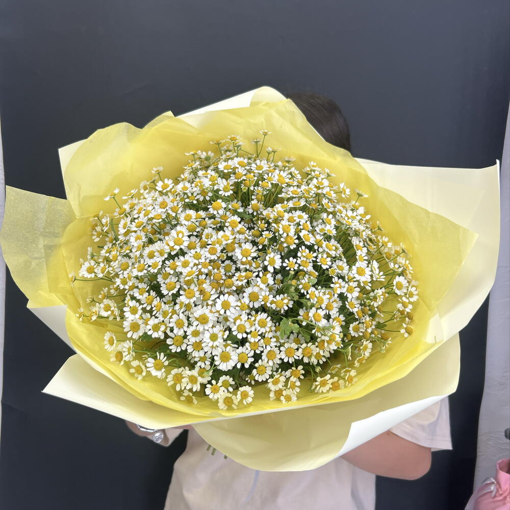 Ромашки дня