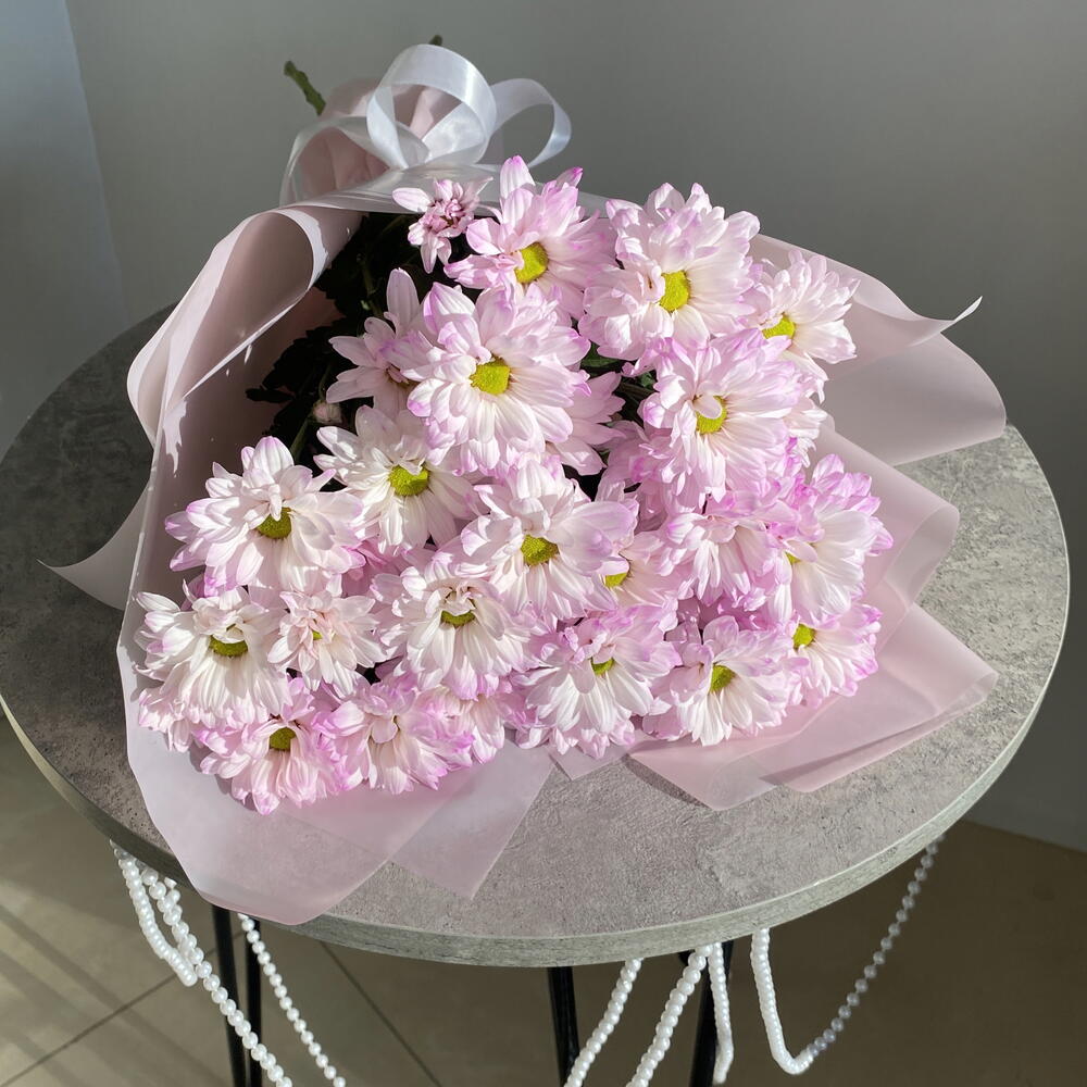 Моно хризантем🌸