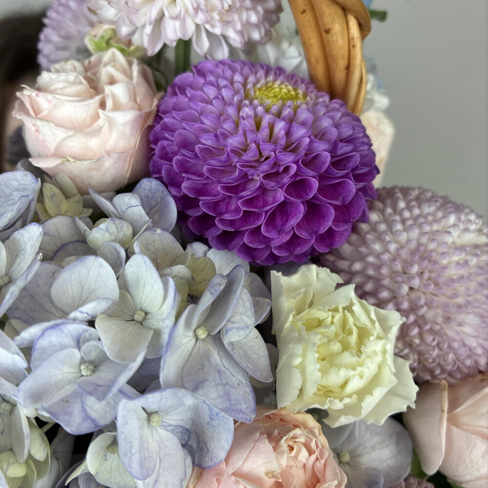 Сиреневая дымка 🌸