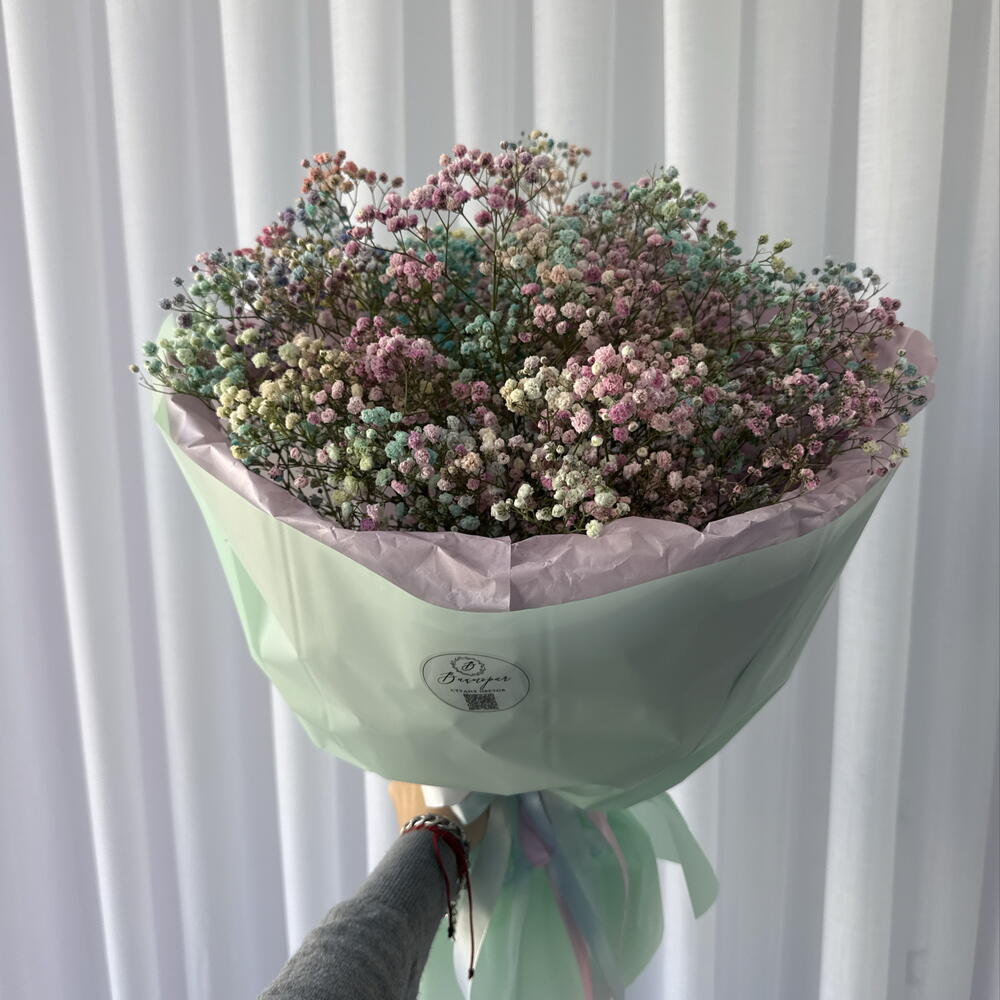 Разноцветная гипсофила