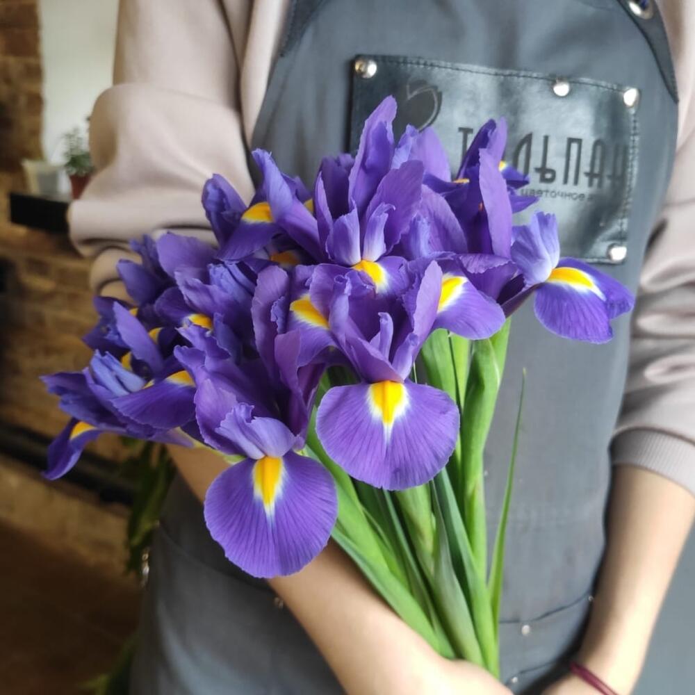 Ирисы синие Blue