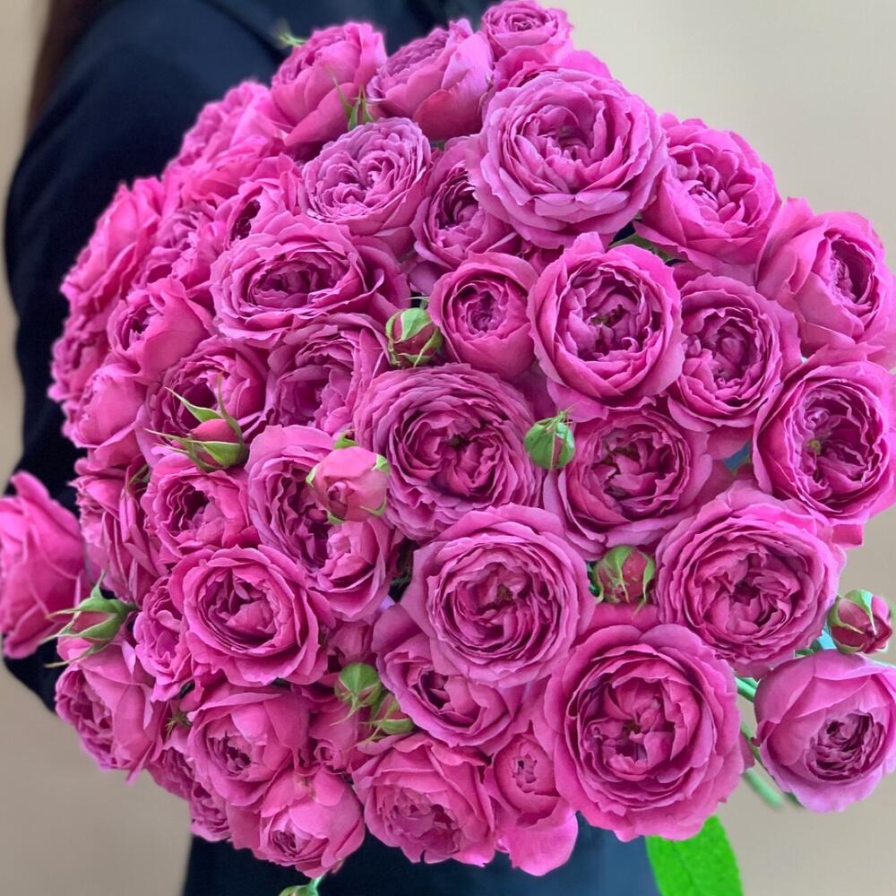 😍Монобукет из 15 кустовых роз Мисти Баблс, Цветы и подарки Котельники ...