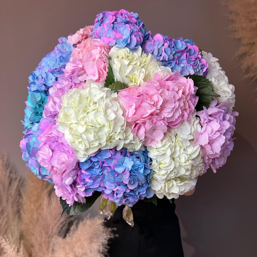 Эффектные гортензии bubble gum