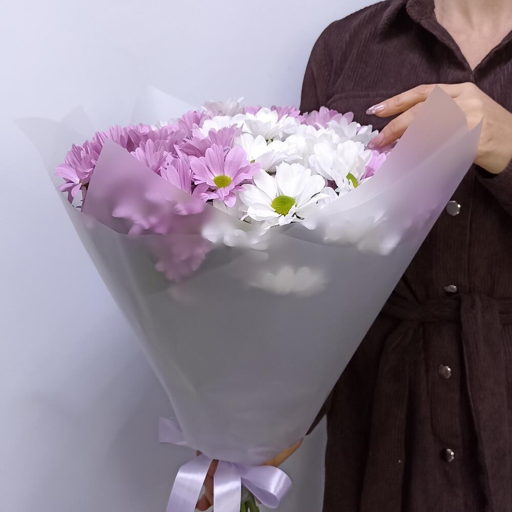 💐Хризантема