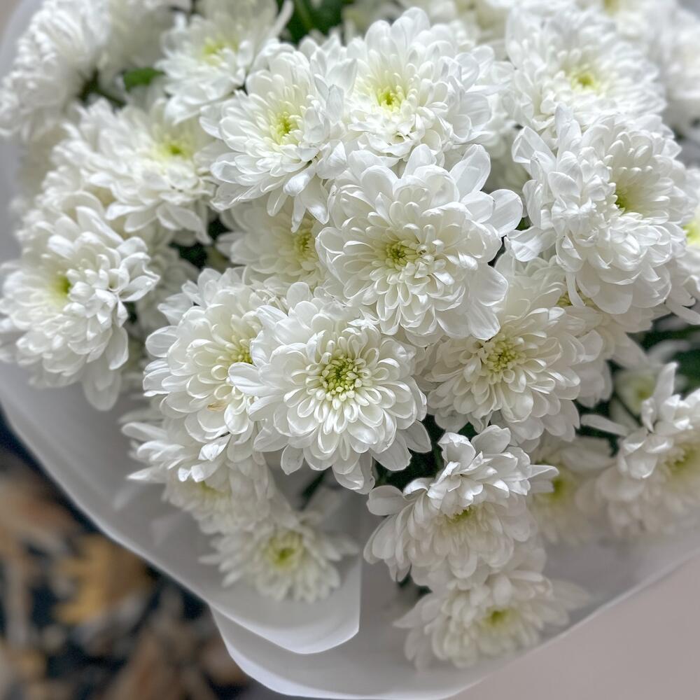 Букет из 11 хризантем Алтай