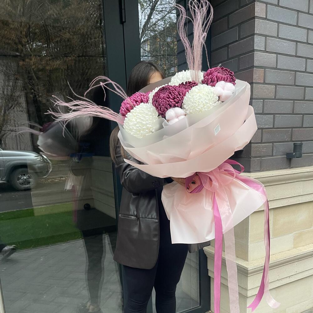 Хризантема хлопок