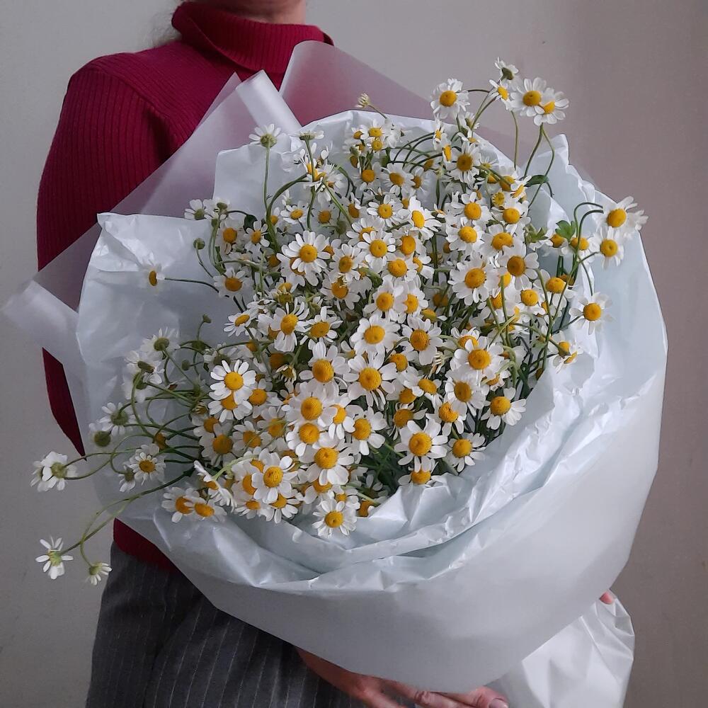 Букет ромашек