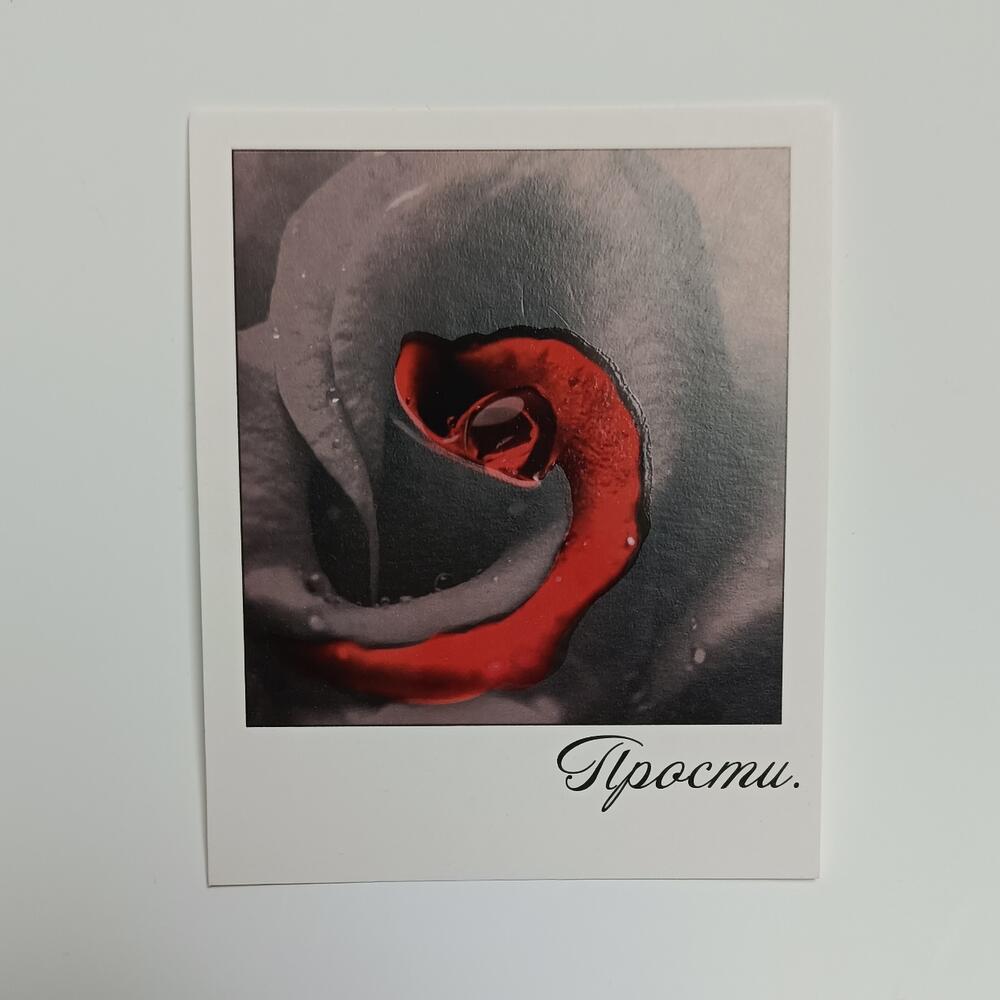 Прости