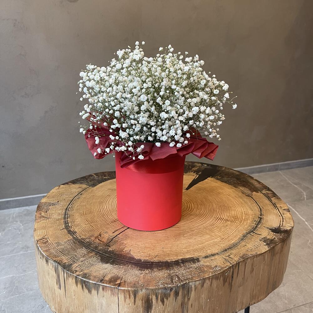Гипсофил  в коробке