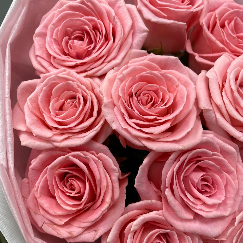 Нежность 💗 моно из 15 роз Софи Лорен