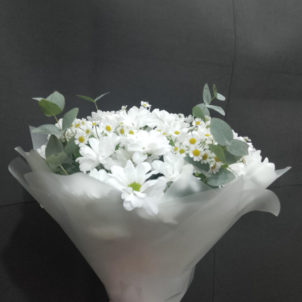 Ромашковый снег