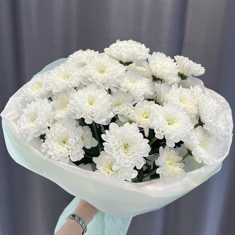 5 кустовых хризантем