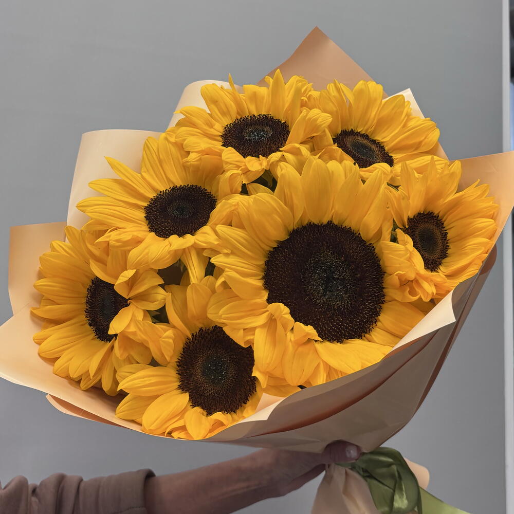 🌻 подсолнухи