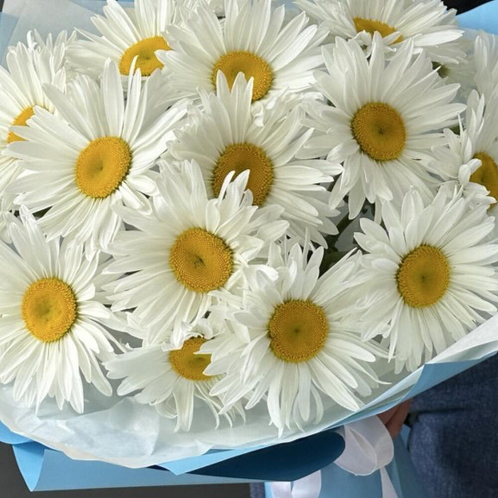 Букет ромашек 🥰