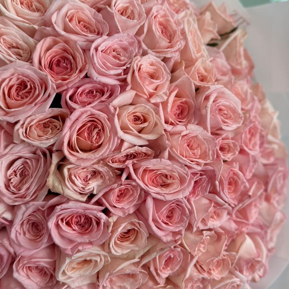 Букет 101 розовая роза, чтобы покорить Ее сердце 💗
