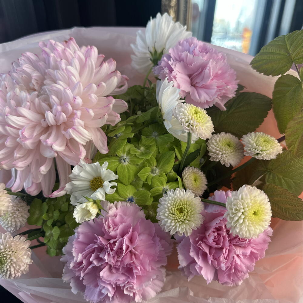 🌸Бруклин (-10%)
