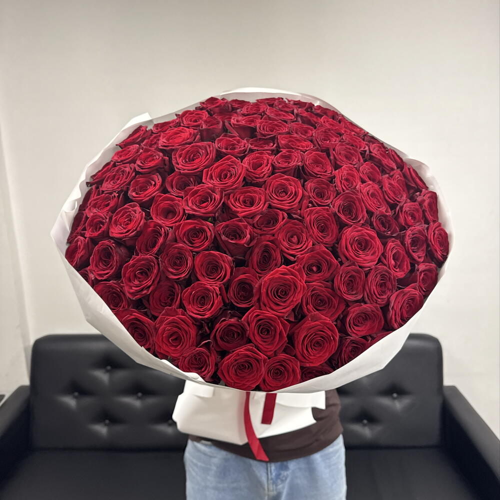 Красные розы 🌹🌹🌹