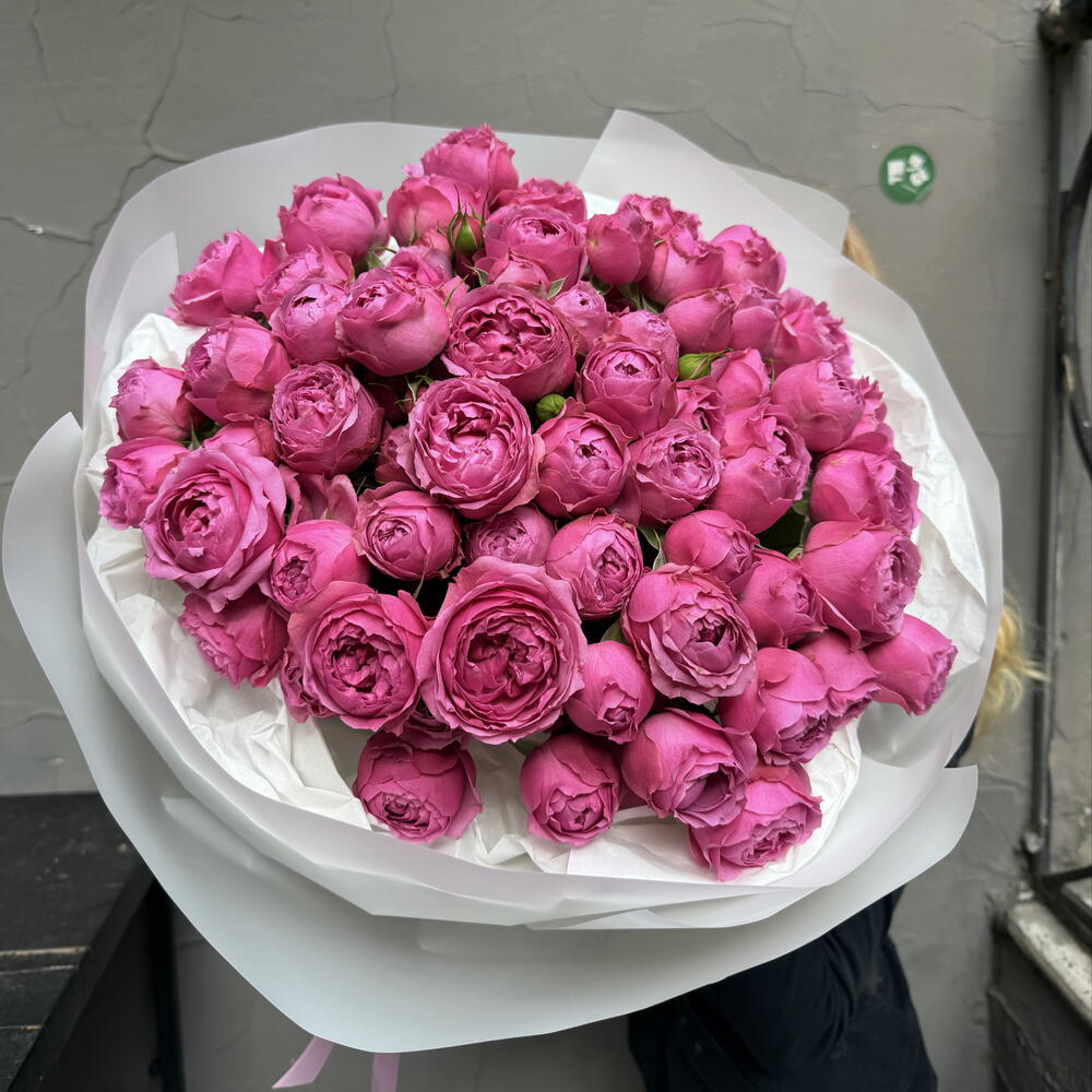 MISTY BUBBLE ROSE M-size