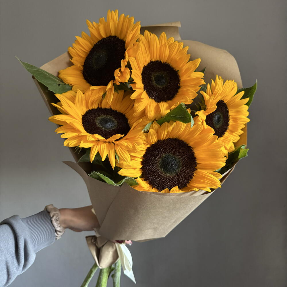 Подсолнухи 🌻