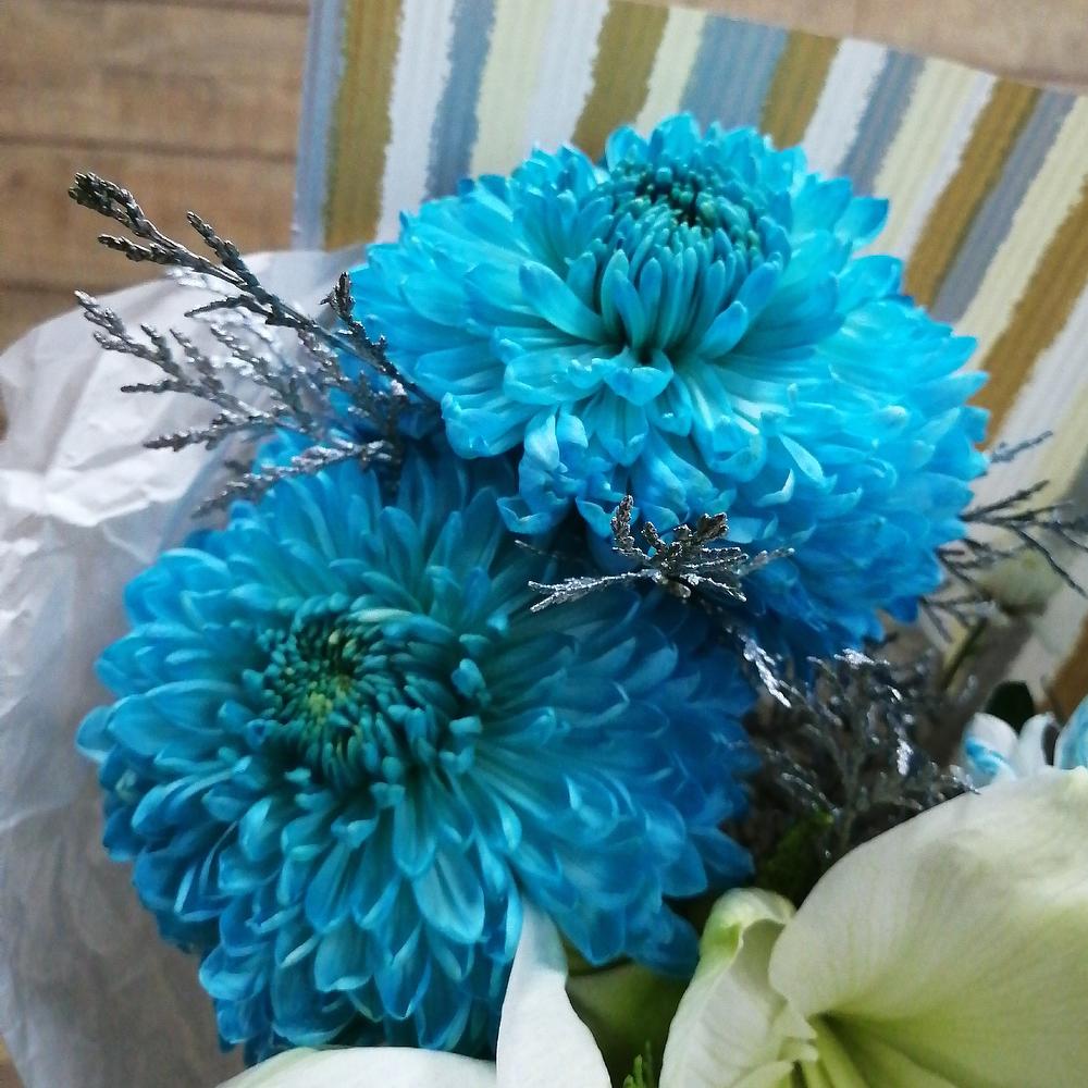 Bouquet-compliment