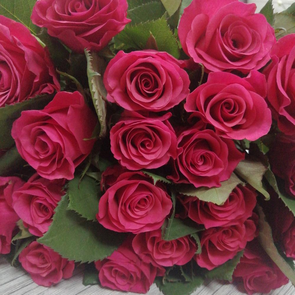 23 fragrant roses