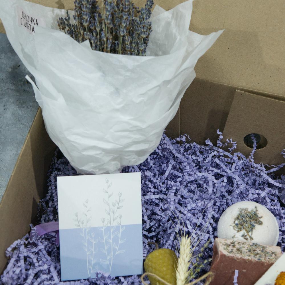 BOX "LAVANDULA" L