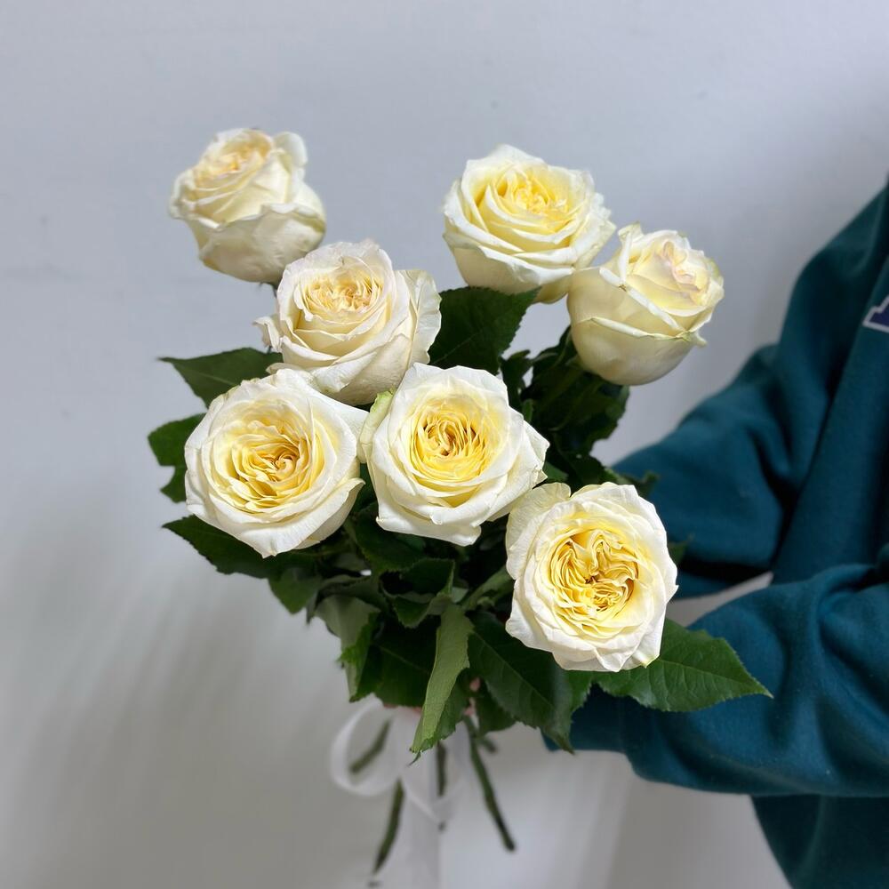 7 peony-shaped roses