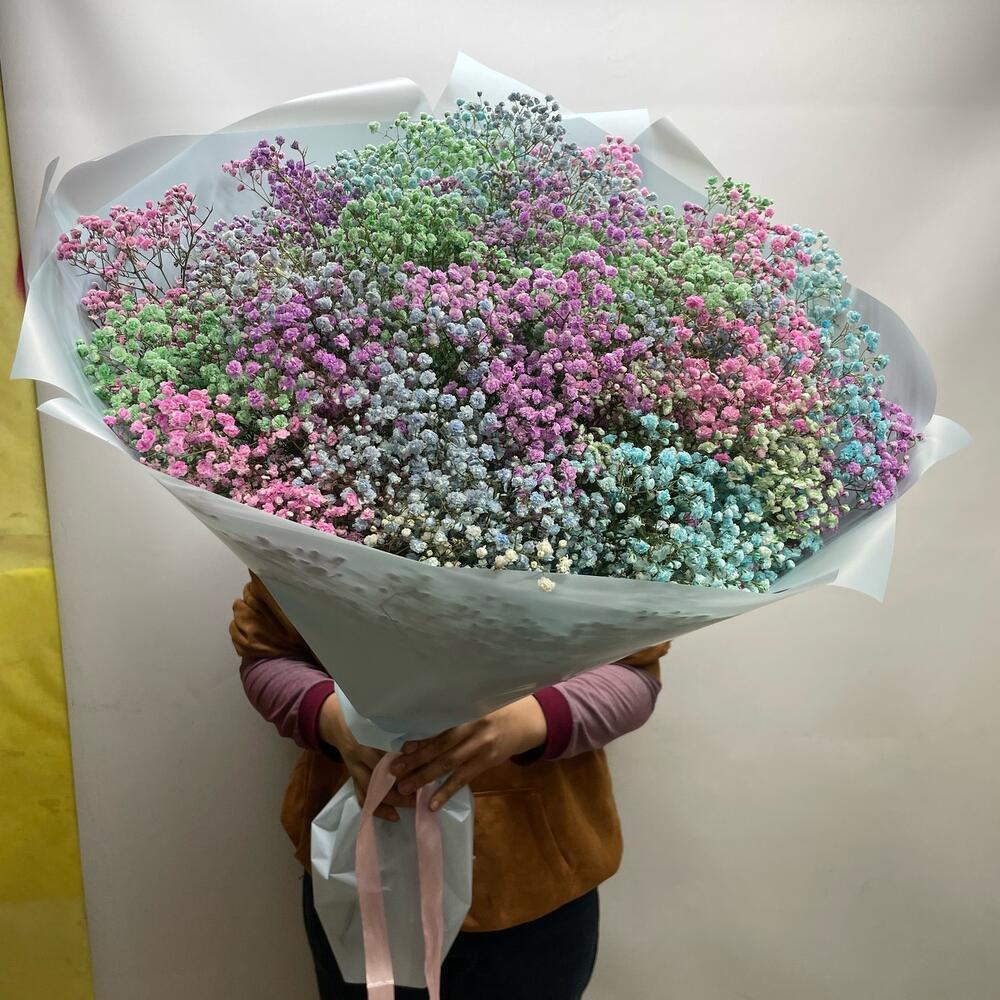Гипсофила радуга