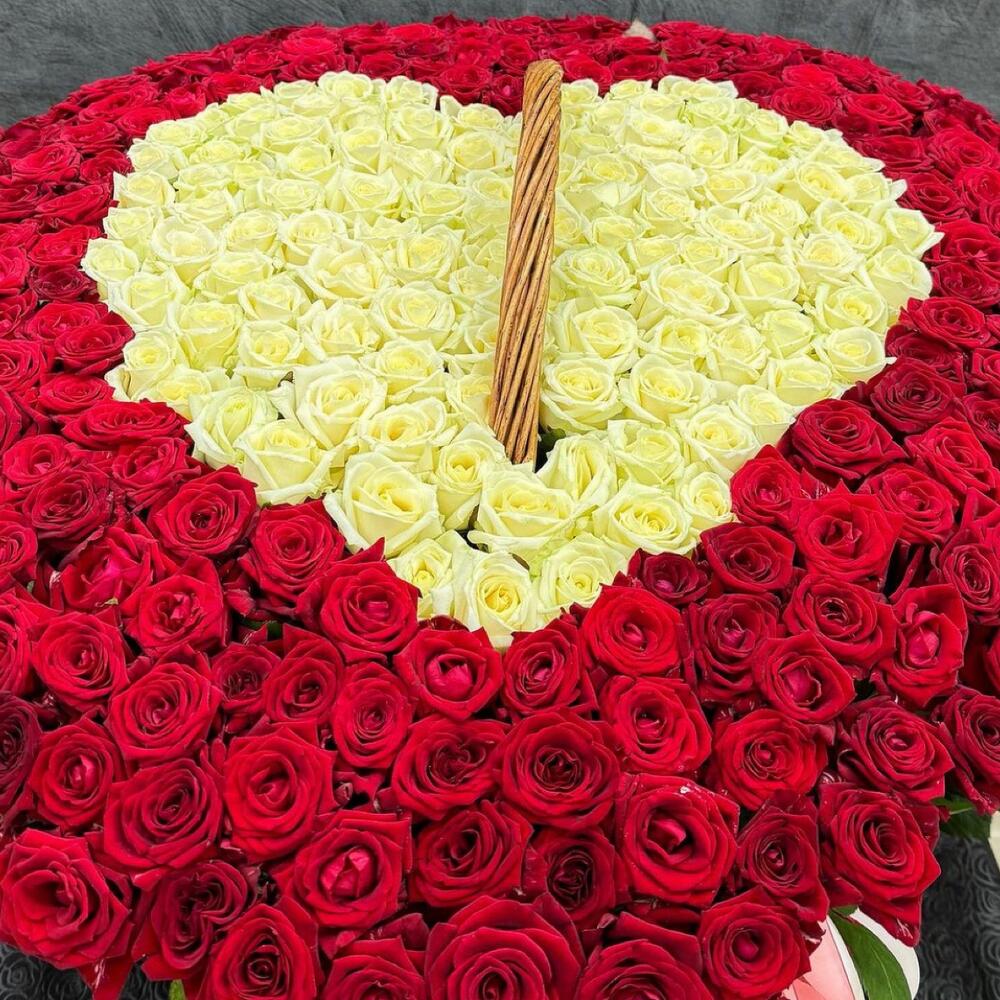 Корзина из 301 розы