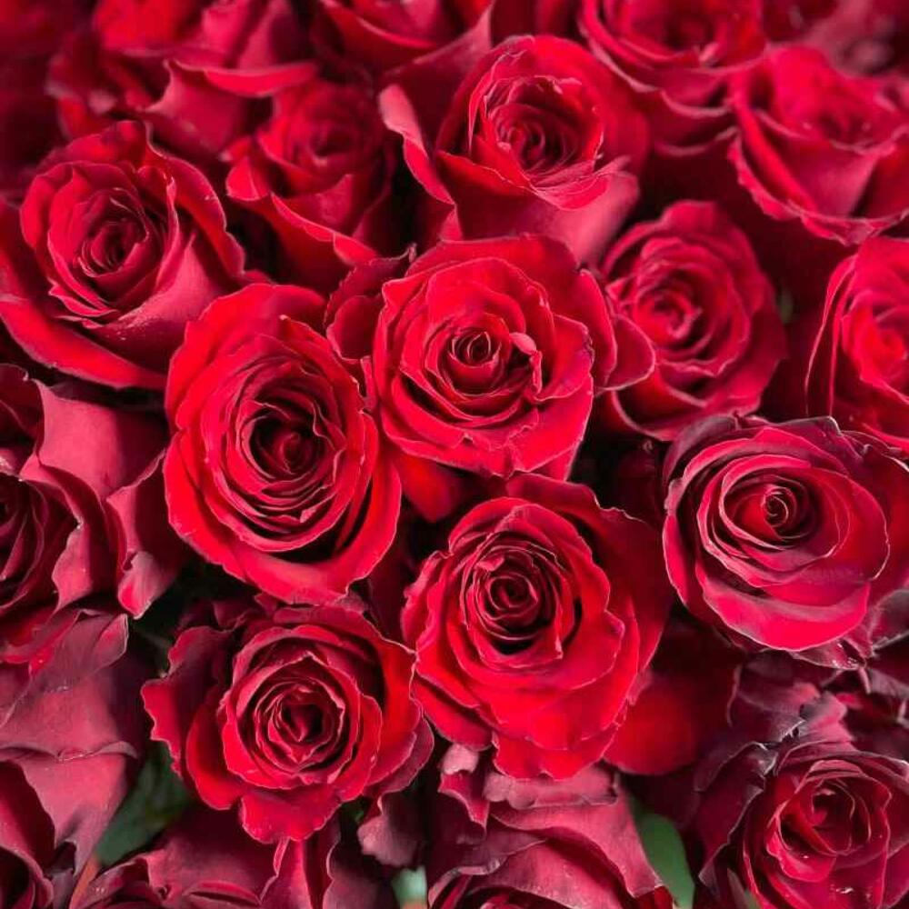 🌹 Букет от Flowersgift из 101 красной розы ▪️ 73