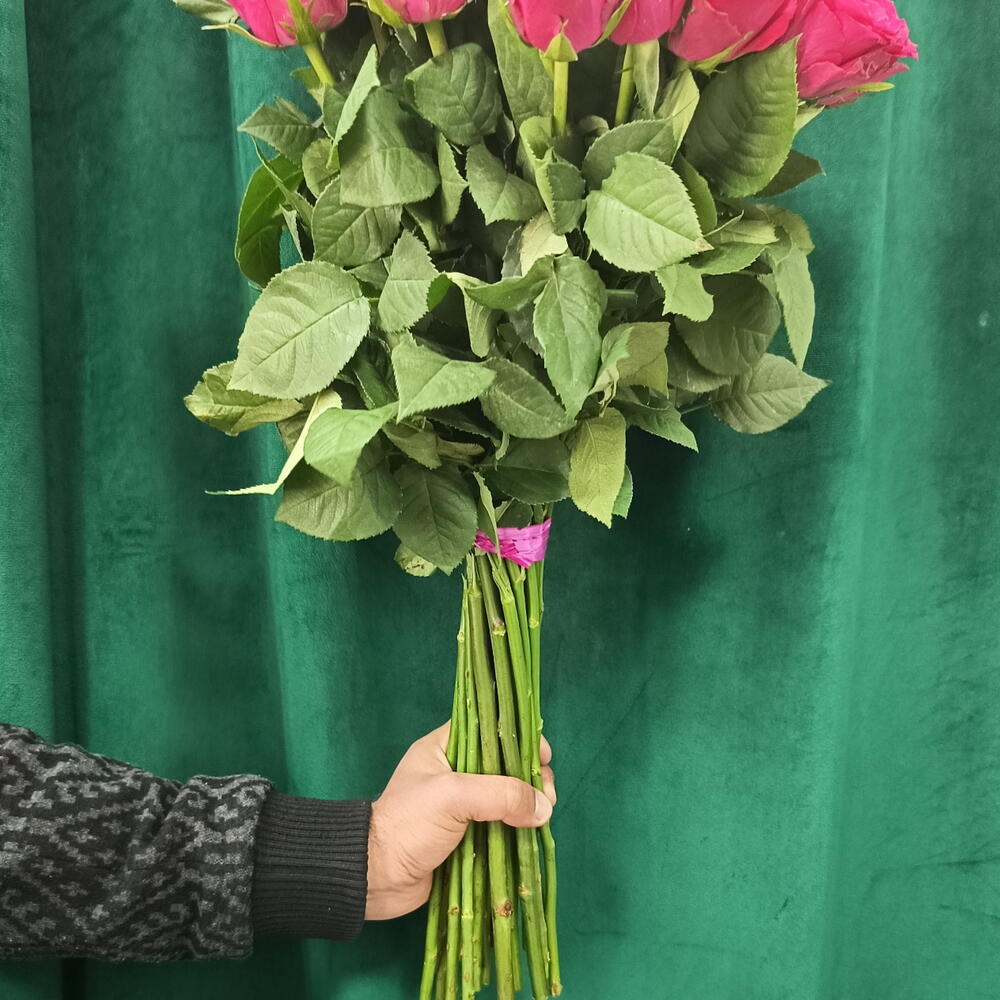 Роза 🌹