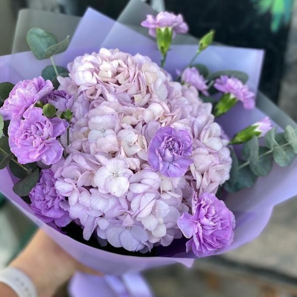 Лавандовые сны