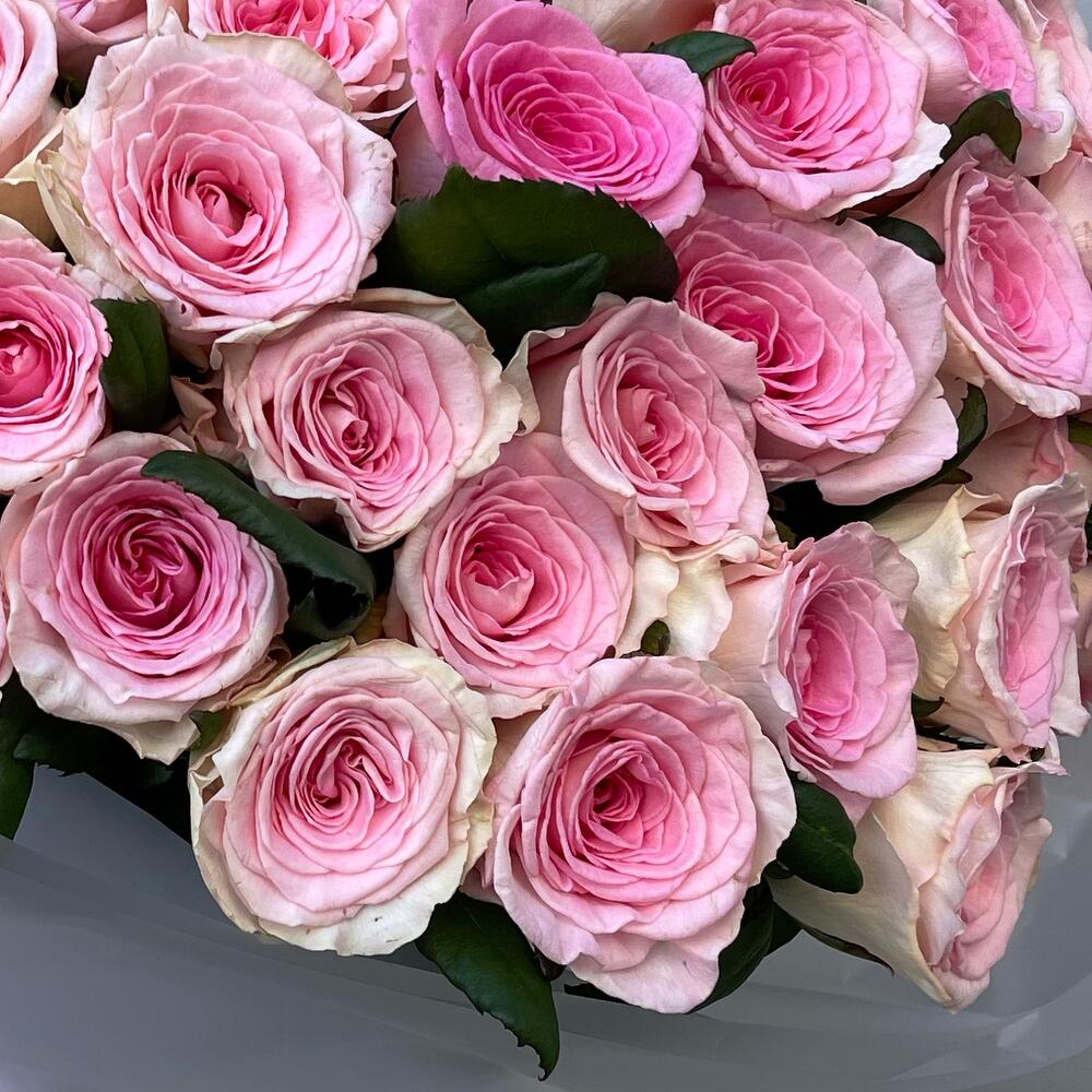 51 розовая роза 🌺
