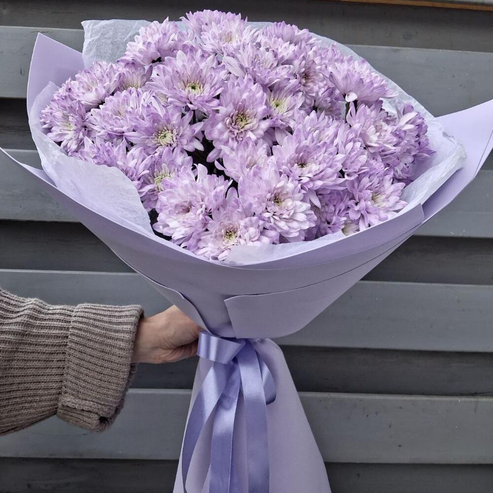 Лавандовая любовь 💗