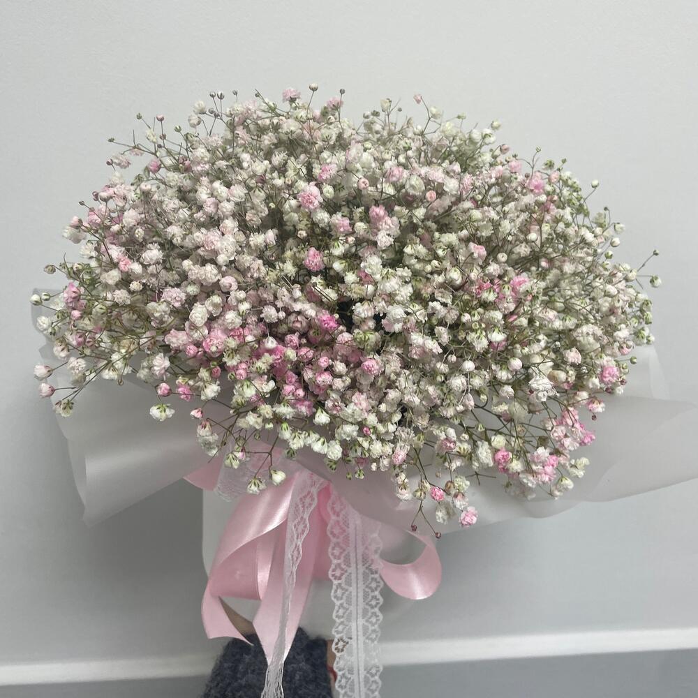 The Gypsophila cloud