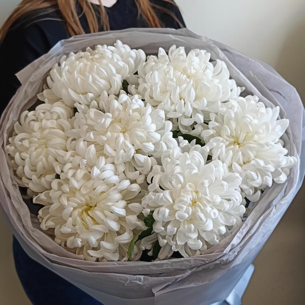Облачка