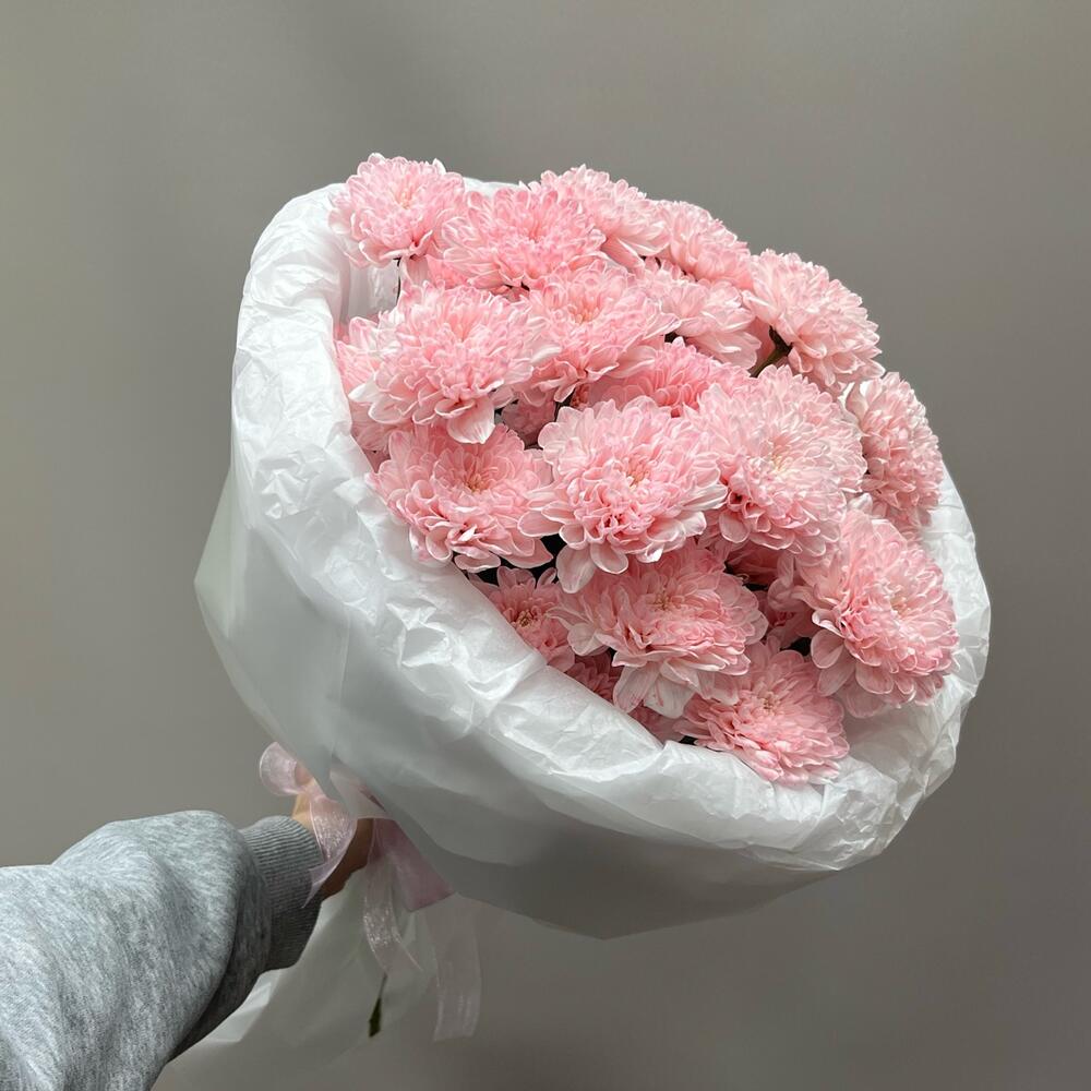 Моно из нежной хризантемы 🌸