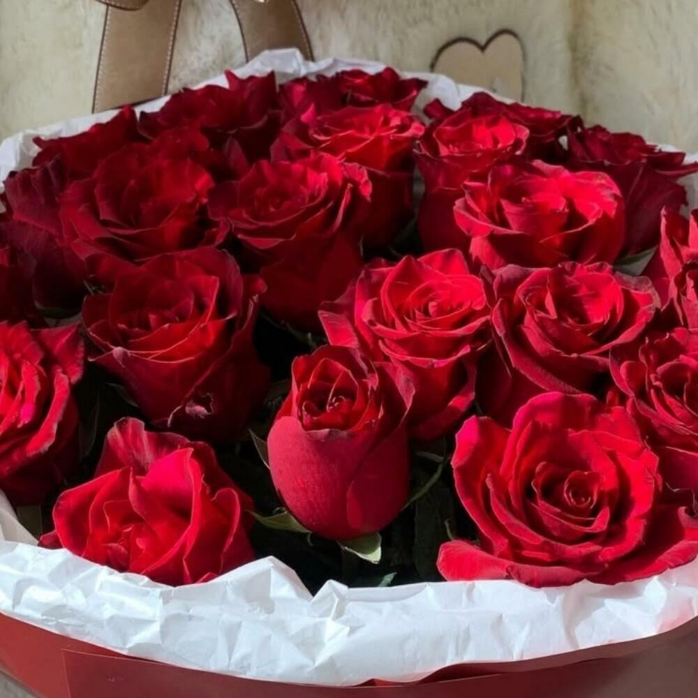 Бордовая любовь