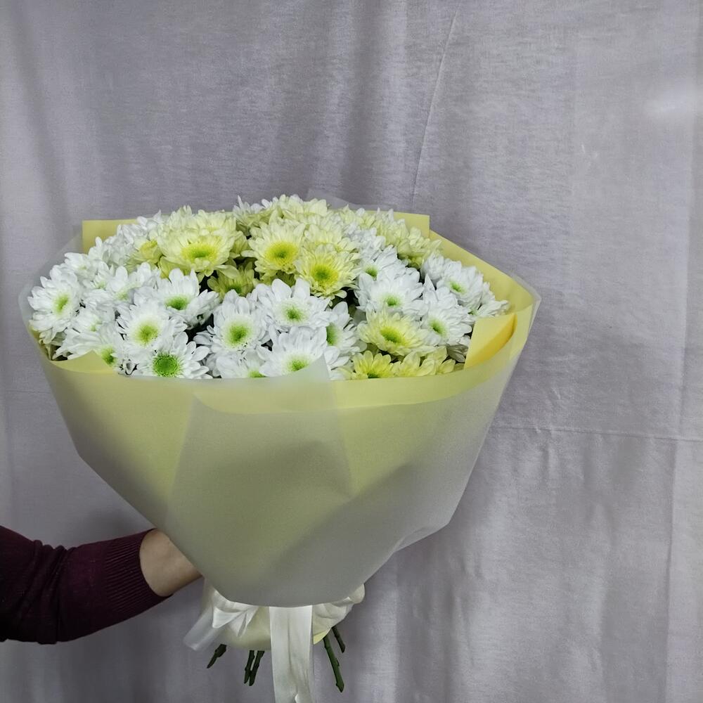 Букет из хризантемы кустовой сорт радость