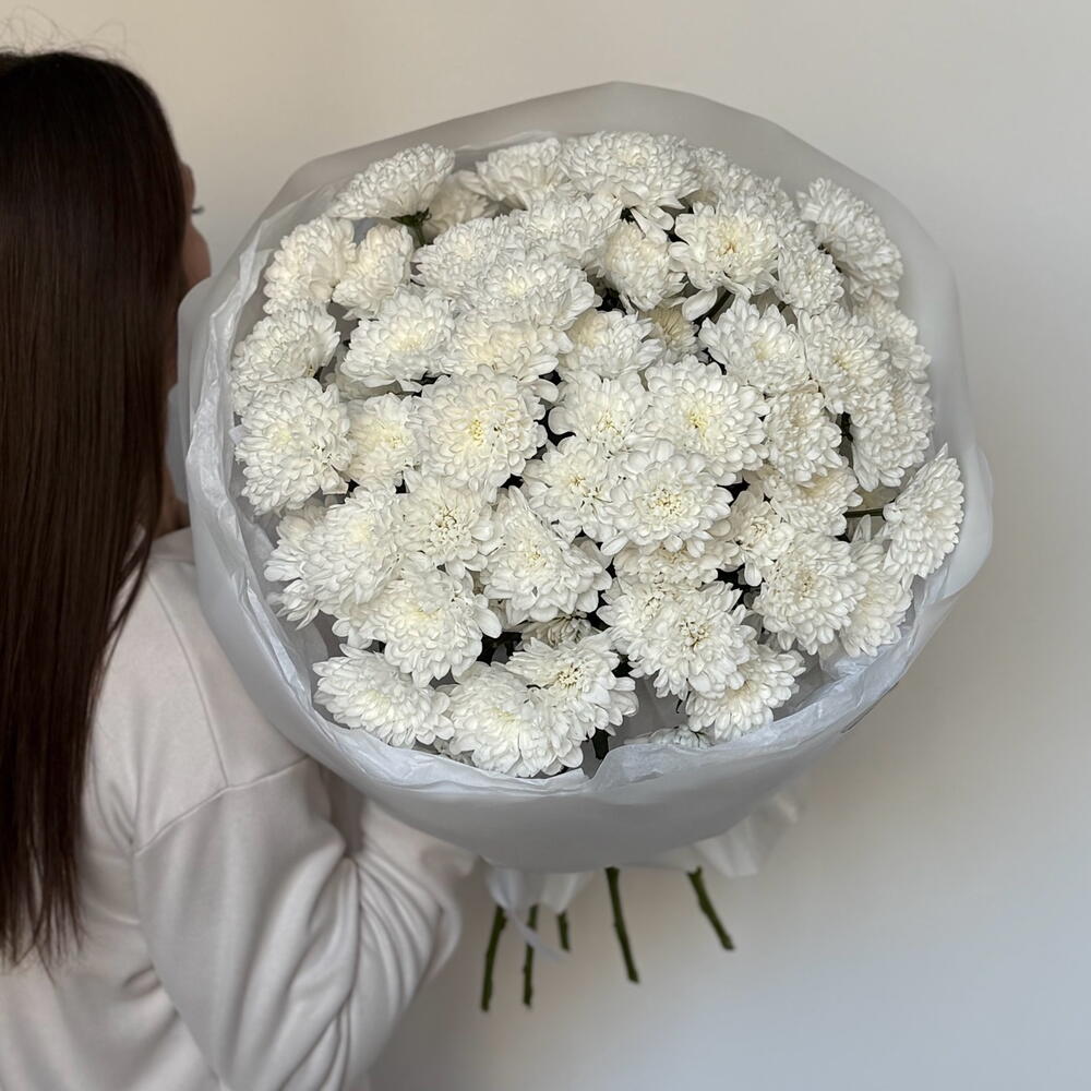 Хризантема Алтай 15 штук