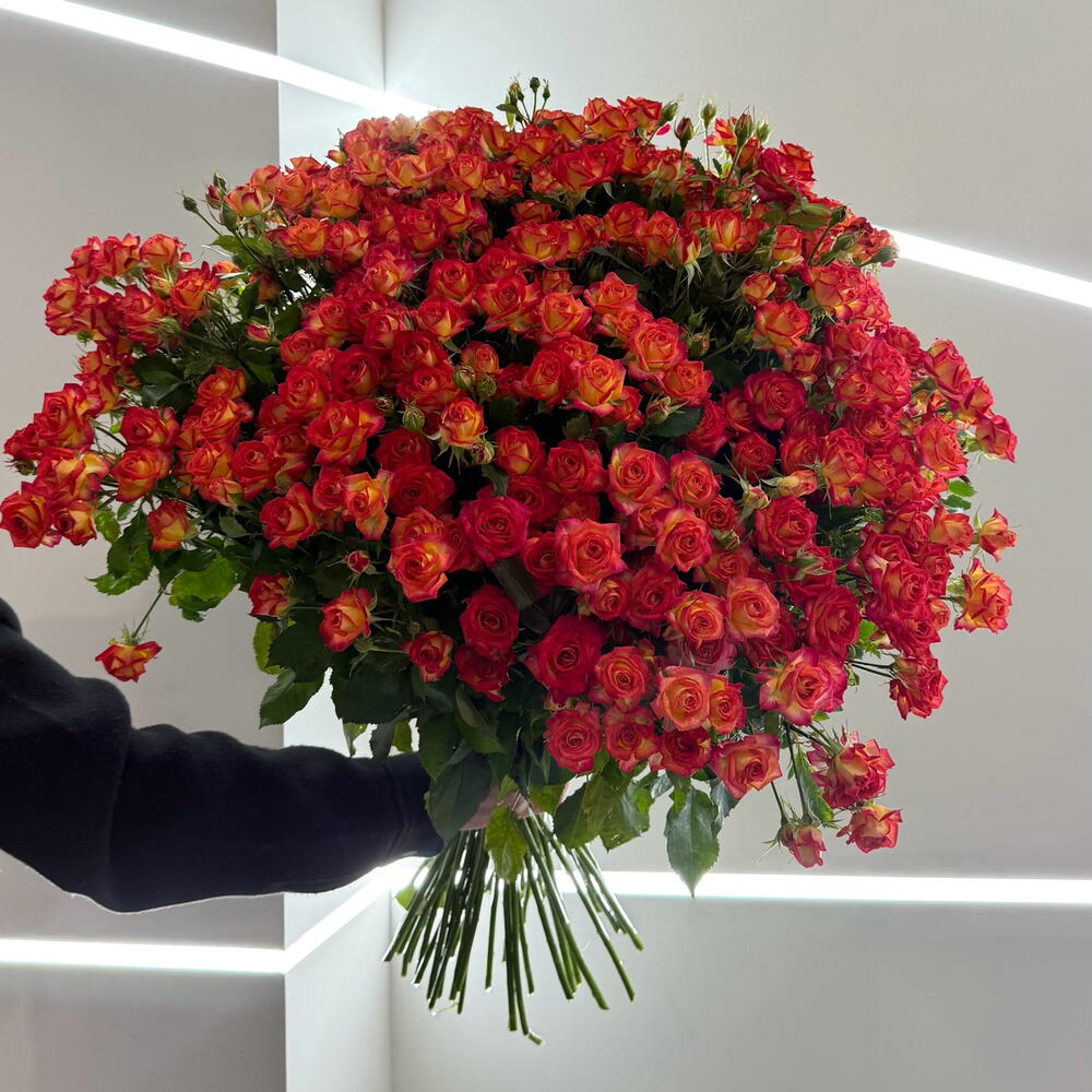 Orange spray rose